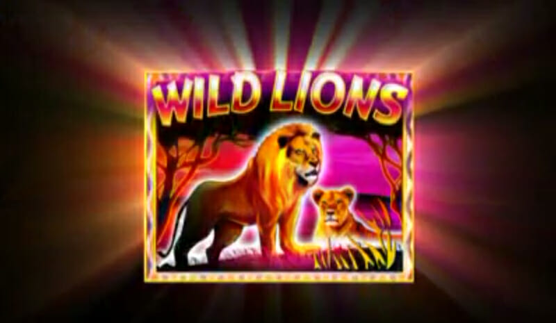 Novoline-lions-wild