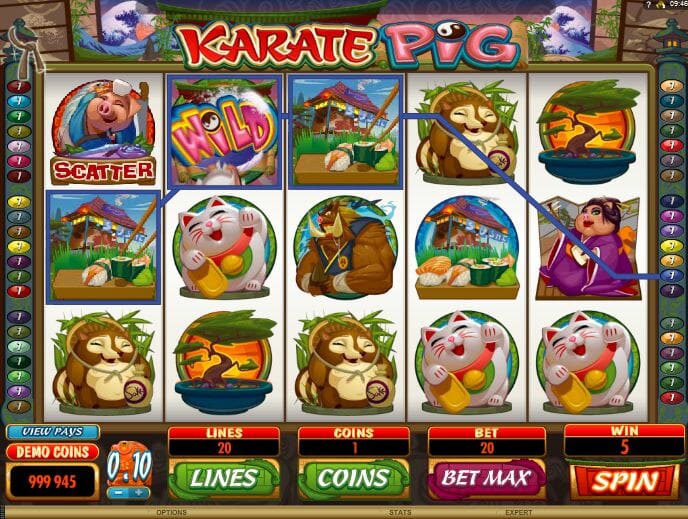 Karate Pig Gewinn