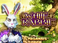 White Rabbit Logo